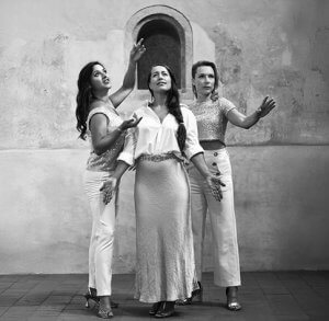 Yellow Sisters www 2026 Yellow Sisters www 2026