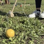 Kriket - sportovní aktivity - Předboj